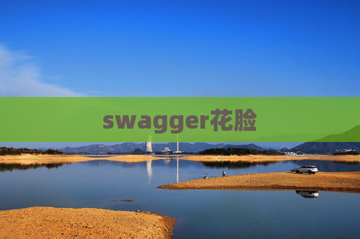 swagger花脸 swagger花脸